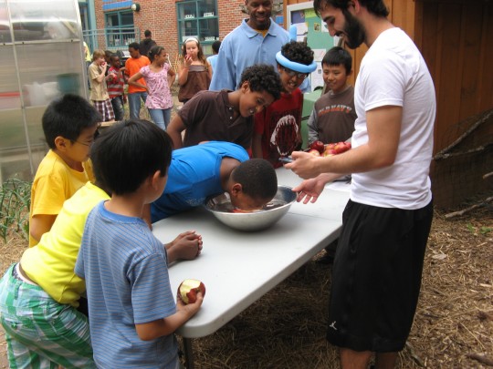 Bobbing for apples at Gately Youth Center - Cambridge, MA